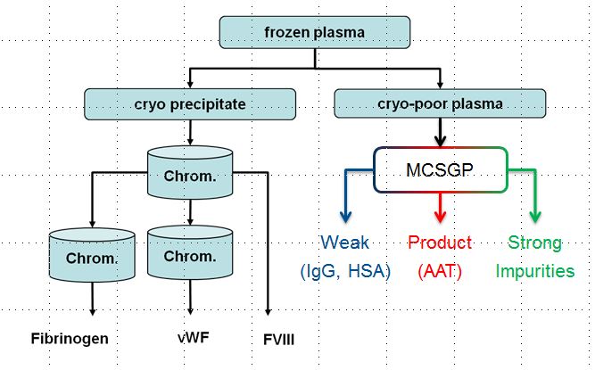 Enlarged view: Purification of proteins from human blood plasma with MCSGP