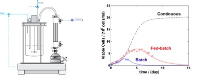 Development and design of continuous mammalian cell culture processes